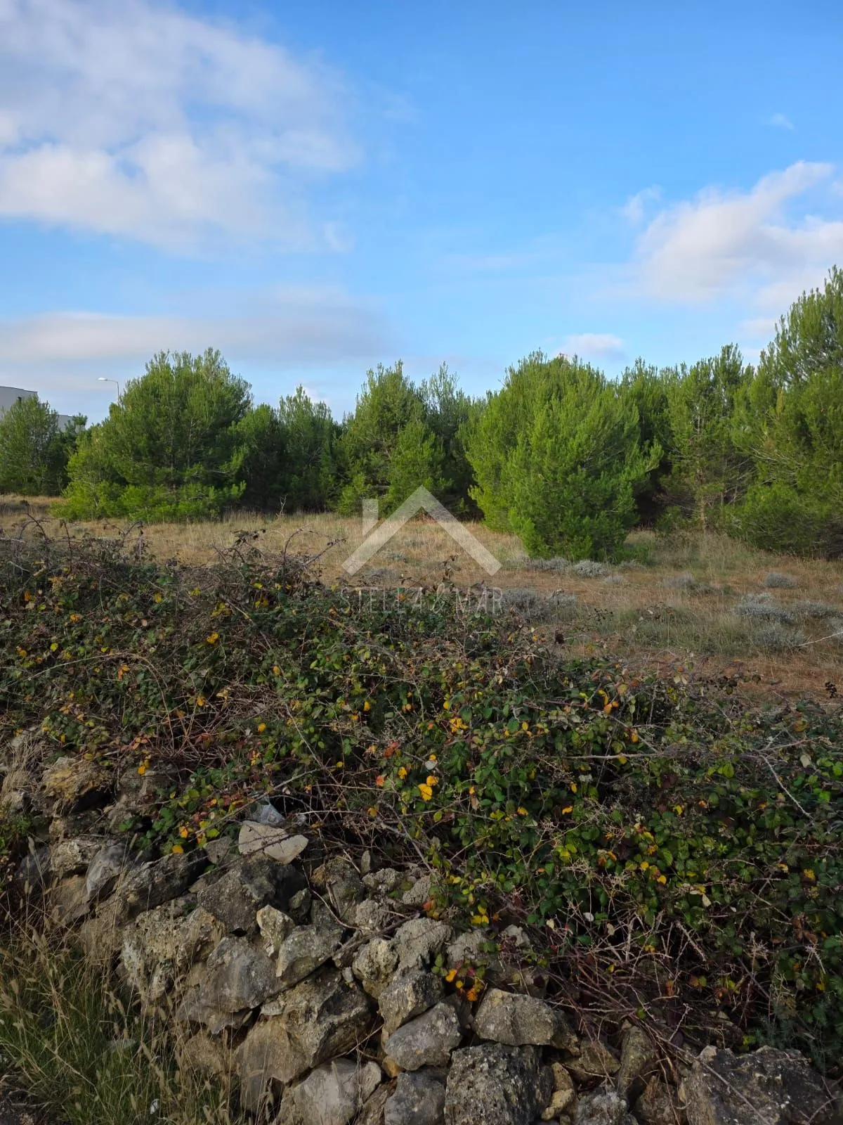 Poljoprivredno zemljište  - Vir - cover