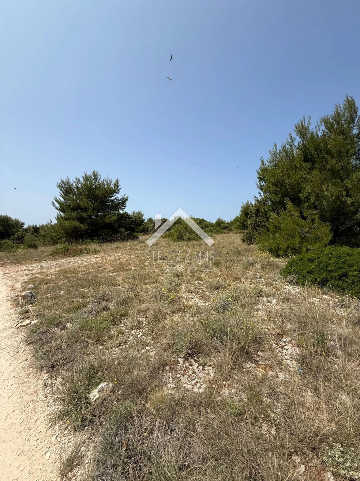 Poljoprivredno zemljište - Vir - cover