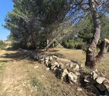 Poljoprivredno zemljište, južna strana - Vir  - cover