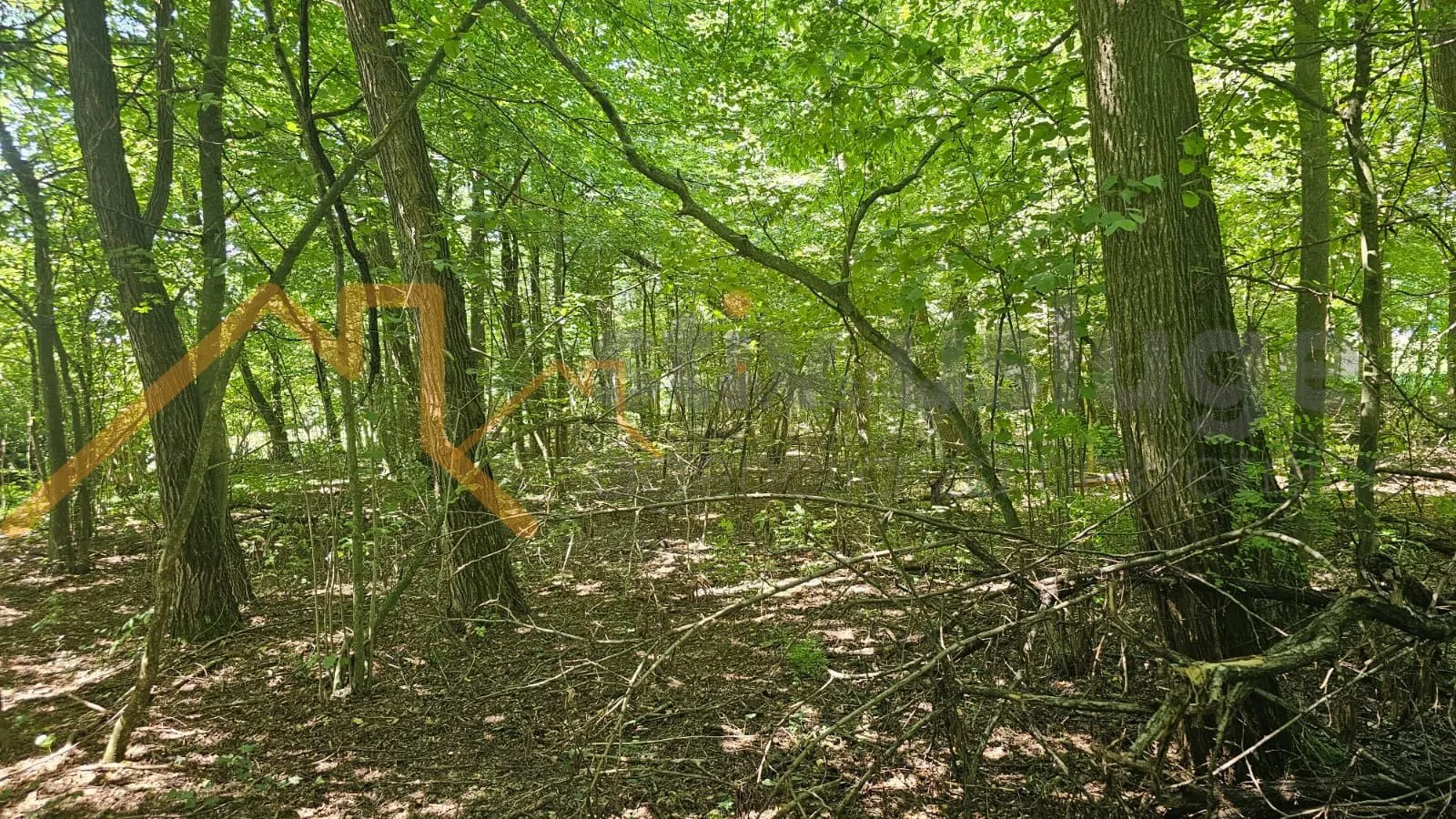 Poljoprivredno zemljišta, Hrebinec, Pustika - cover