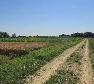 Leprovica, Dugo Selo, Poljoprivredno zemljište 10.401 m² - Dugo Selo - Istok, Dugo Selo