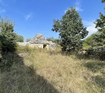 Istra, Majmajola,  prodaje se maslinik  s 220 maslina i 480m2 terena u građevinskoj zoni s ucrtanim objektom! - cover