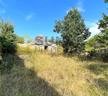 Istra, Majmajola, prodaje se maslinik s 220 maslina i 480m2 terena u građevinskoj zoni s ucrtanim objektom! - cover