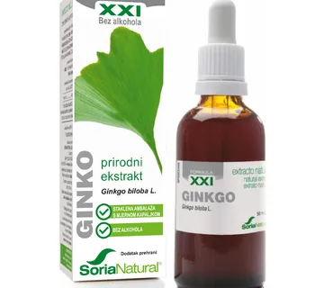 Ginko XXI ekstrakt - cover