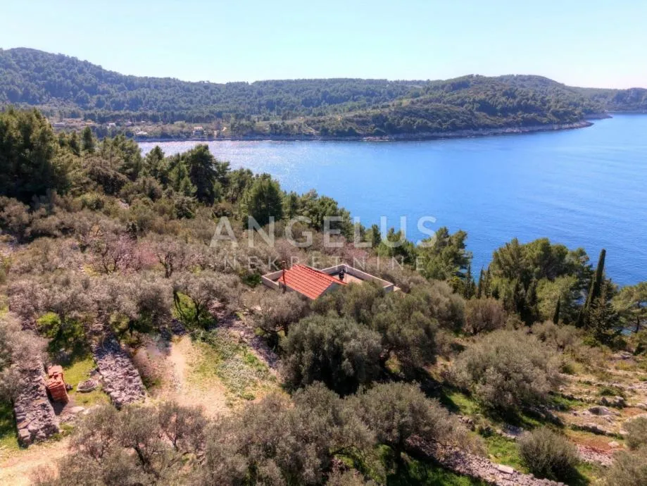 Korčula, Vela Luka – jedinstveno imanje uz obalu, okruženo zelenilom - cover