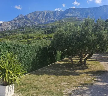 Umjetna ograda .Prodaja i najam ograde Green Luxury Wall . 0996633288 - cover