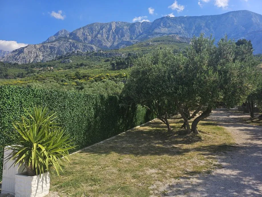 Umjetna ograda .Prodaja i najam ograde Green Luxury Wall . 0996633288 - cover