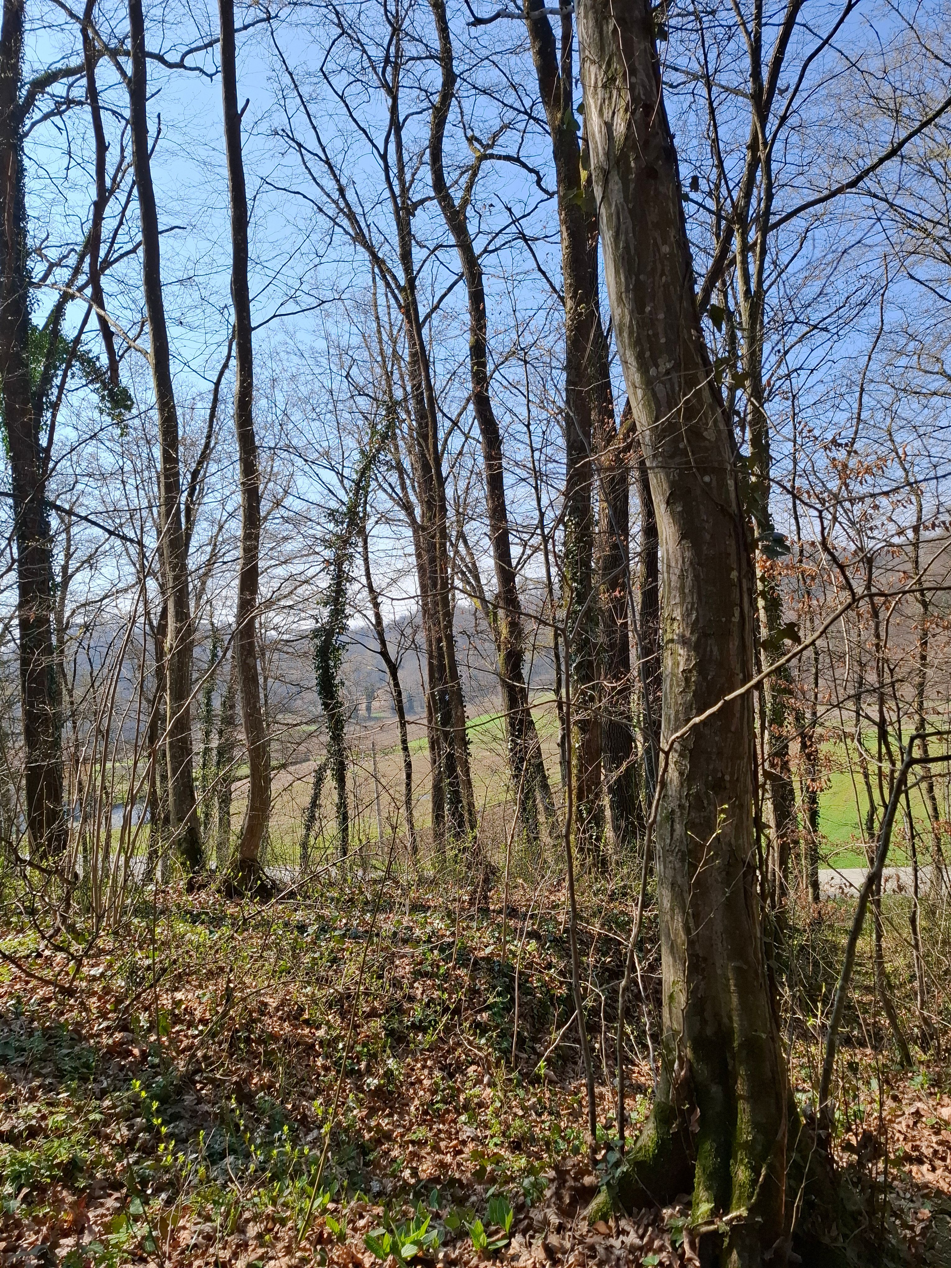 Fotografija