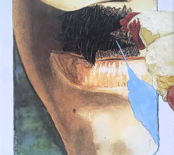 MEIN KAMPF George Tabori - cover