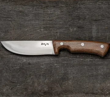 Kovani lovački nož Baja - cover