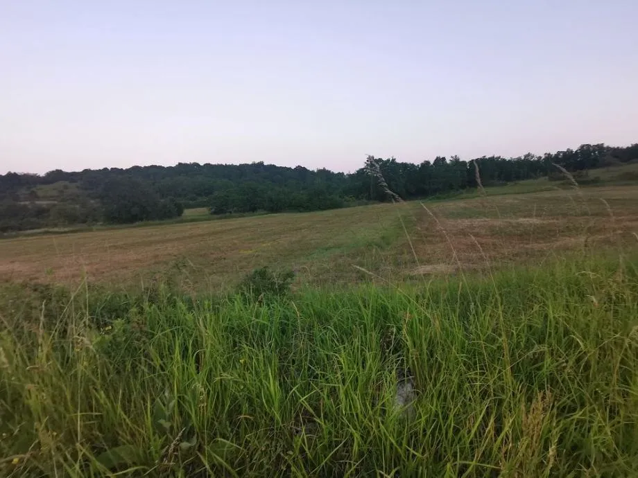 TRVIŽ- POLJOPRIVREDNO ZEMLJIŠTE NA PRODAJI - cover