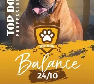 TOP DOG PROFESSIONAL BALANCE 20KG 24/10 - cover