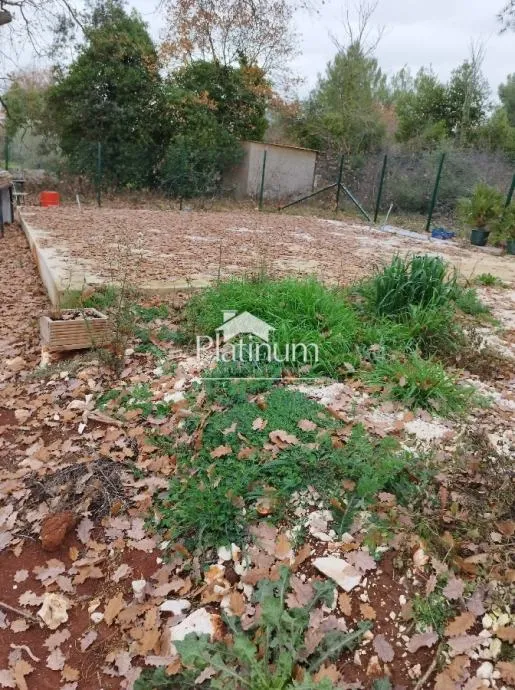 Fotografija