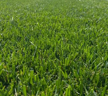 Mješavina DELTA - cover