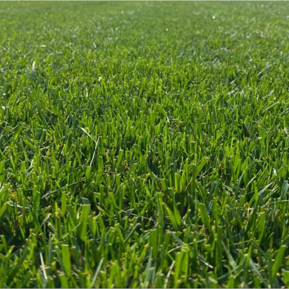 Mješavina DELTA - cover