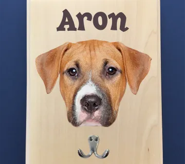 Vješalica za povodac sa fotografijom i imenom psa - cover