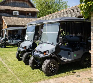 Lonjsko polje - Najam električnih golf vozila - Osekovo, Popovača