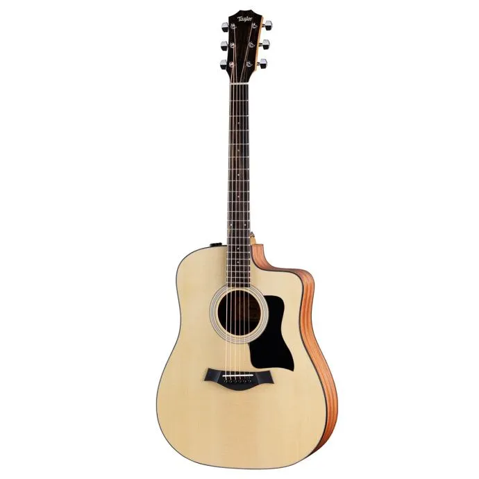 TAYLOR 110ce-S SPECIAL EDITION - cover