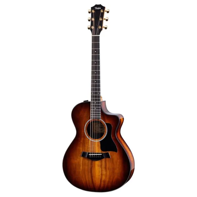 TAYLOR 222ce-K DLX - cover
