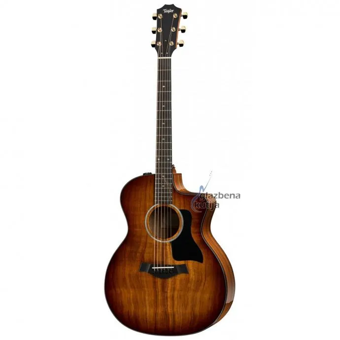 TAYLOR 224ce-K DLX - cover