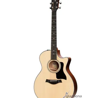 TAYLOR 314ce V-CLASS - cover