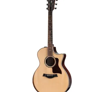 TAYLOR 814ce V-CLASS - cover