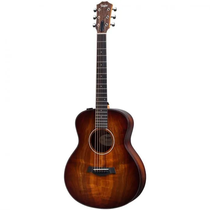 TAYLOR GS MINI-e KOA PLUS - cover