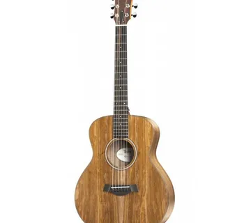 TAYLOR GS MINI-e KOA - cover