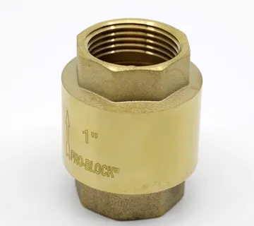 Ms Nepovratni Ventil 1" Pro Block - Vinkovci