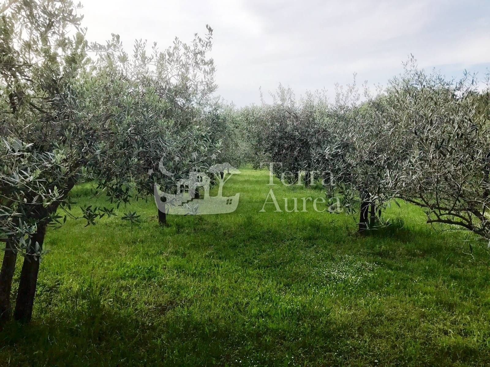 Fotografija