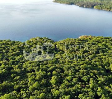 Šuma u blizini mora, Milohnići, otok Krk - cover