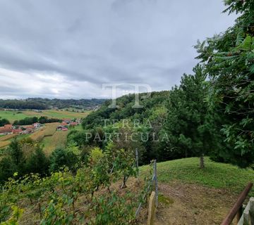 Zlatar, zapušteni vinograd od 1.025 m², na prodaju  - cover