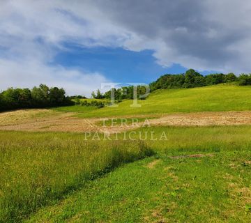 Krapinske Toplice, Selno, građevinsko zemljište  - cover