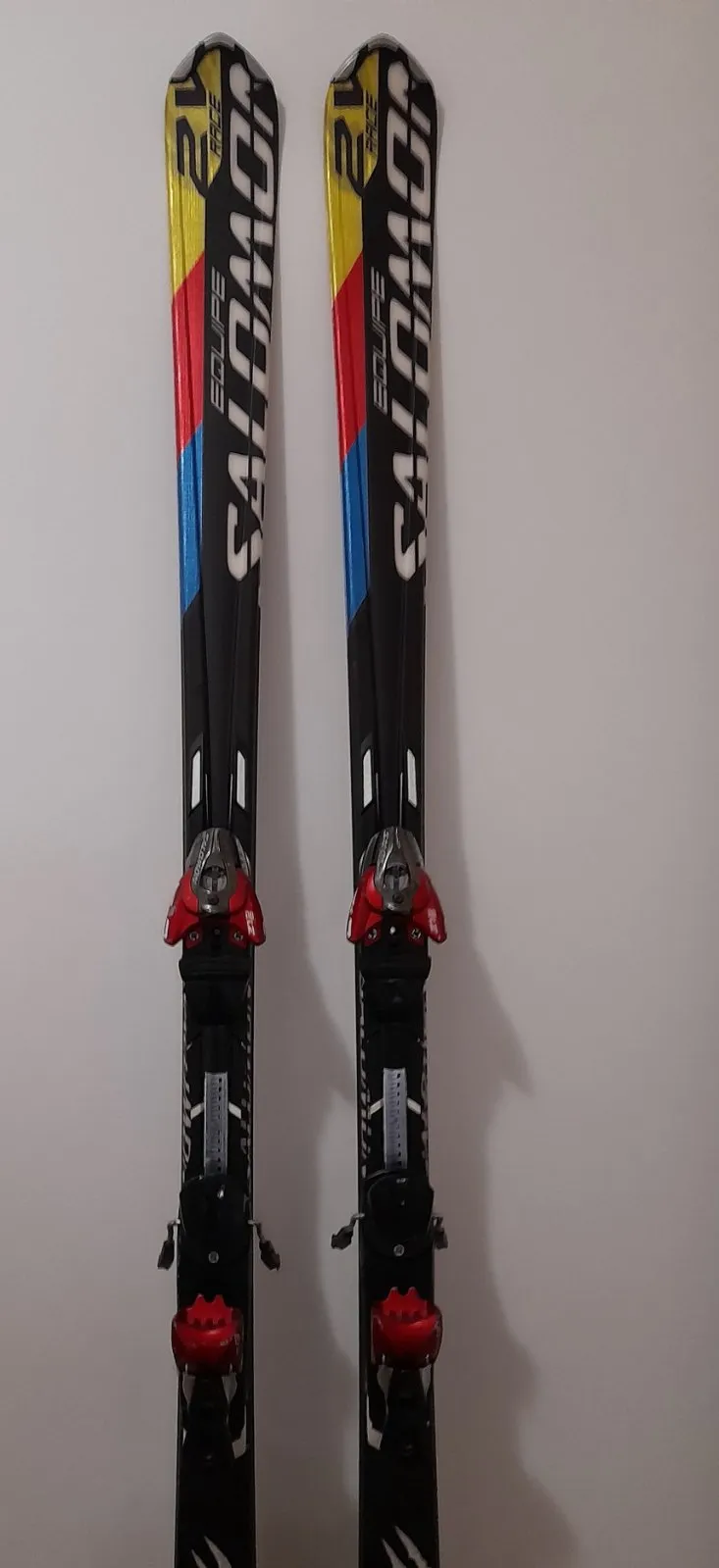 Skije salamon - cover