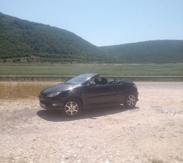 206cc 2.0 16V  100kw - cover