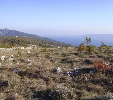 Poljoprivredno zemljište, Ripenda Kosi, 50000 m2, 1600 m od mora - Ripenda Kosi, Labin