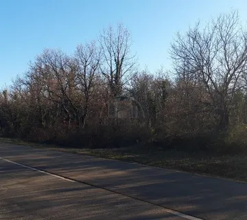 Istra, Raponji, Poljoprivredno zemljište sa pogledom na more 15100 m2 - Rapanji, Svetvinčenat