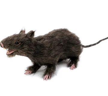 EUROPALMS Rat, lifelike with coat - cover