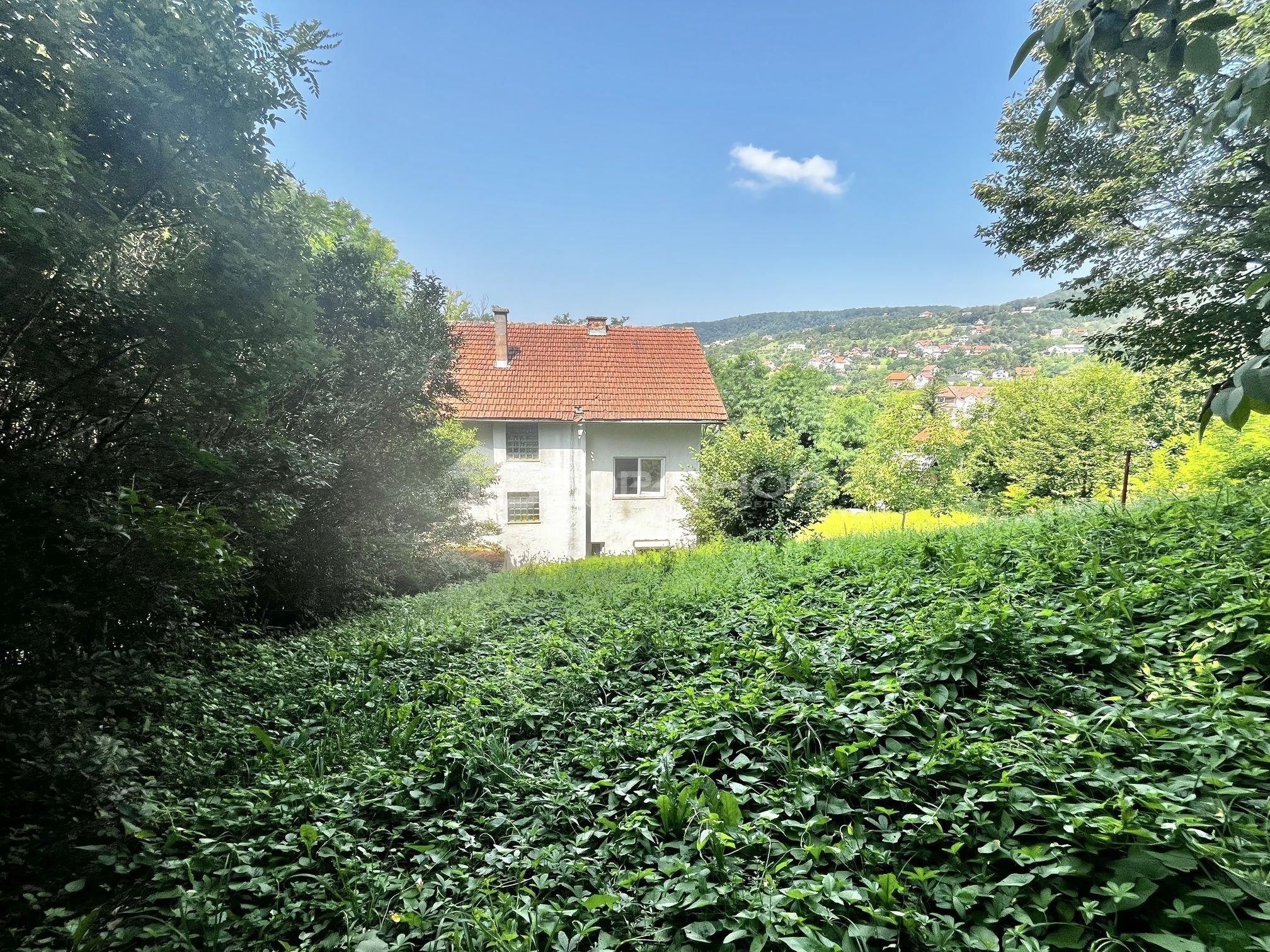 Fotografija