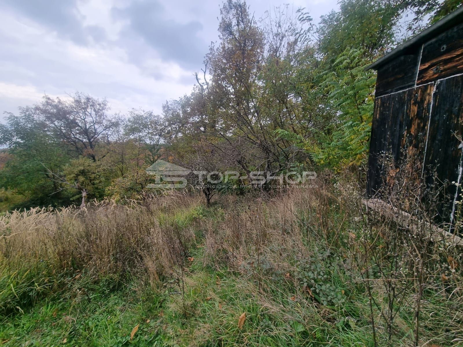 Fotografija