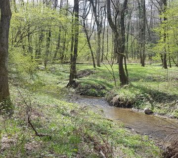 Gazije-Feričanci, potok-šuma, 6981m2 građevinsko-šumsko zemljište - cover