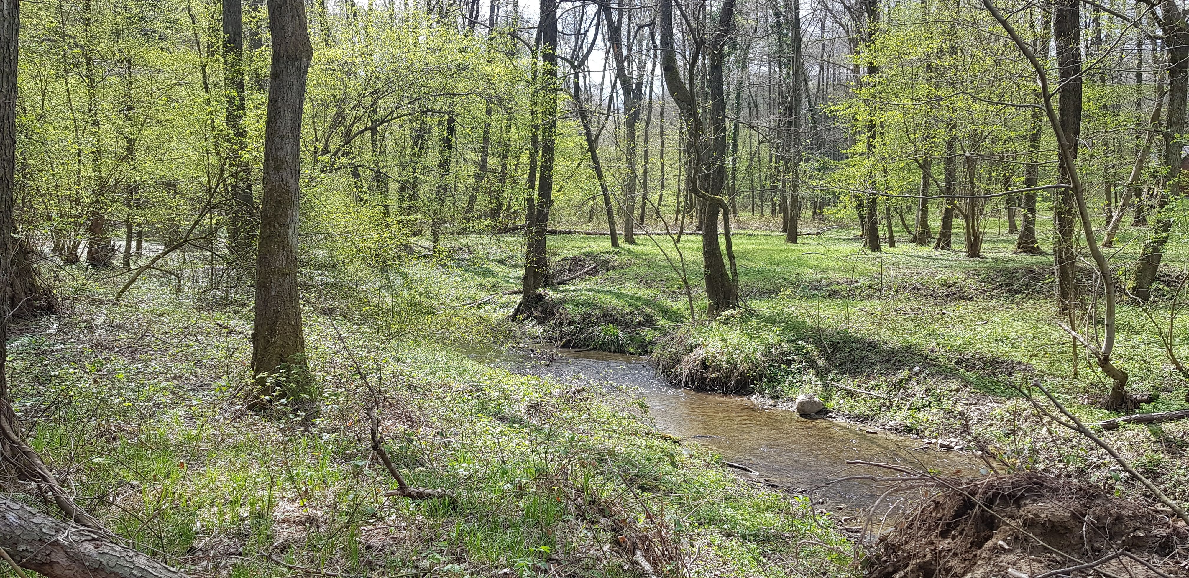 Fotografija