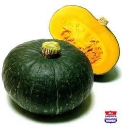 Kabocha tikva NOVO - cover