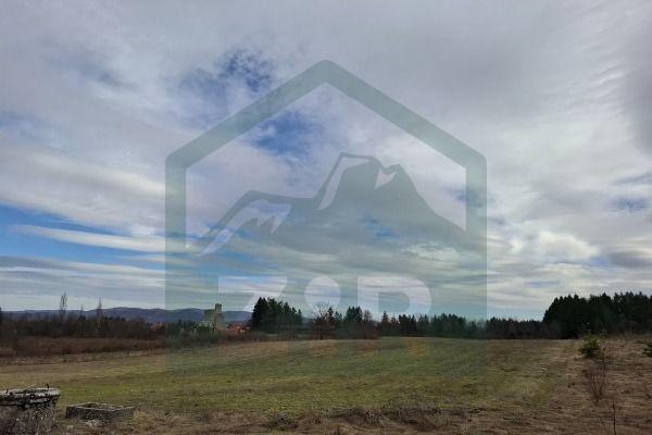 Fotografija