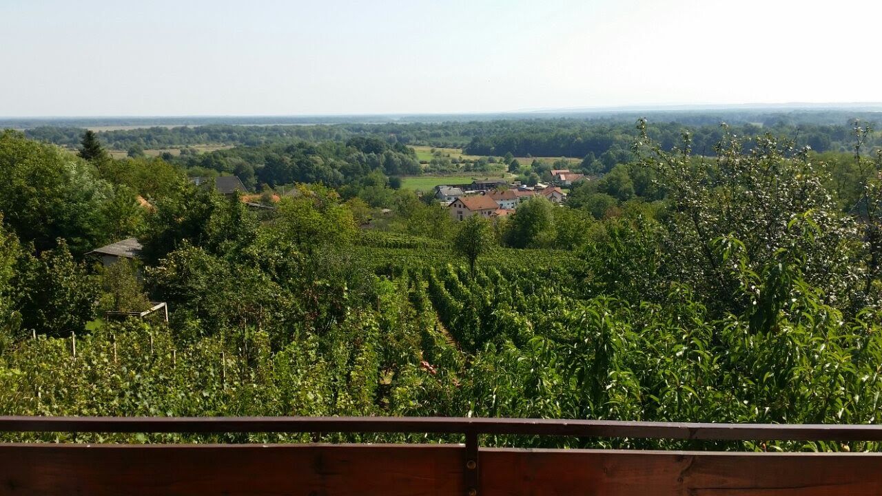 Fotografija