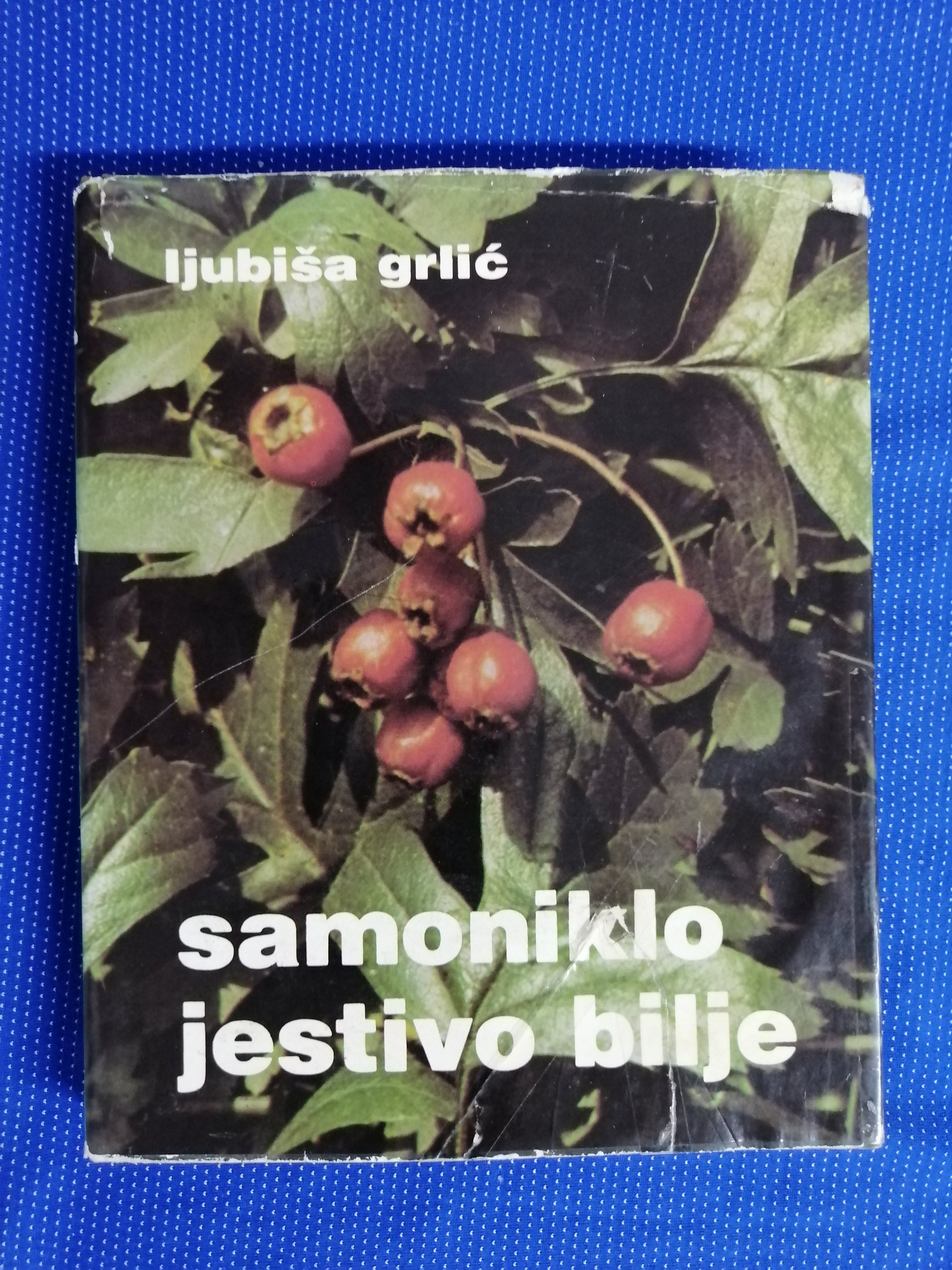 Fotografija