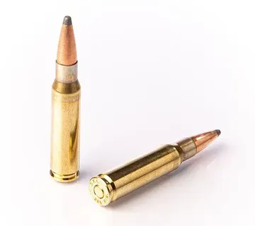 Karabinsko streljivo FIOCCHI 308 Win SP 11,7g / 180gr - cover