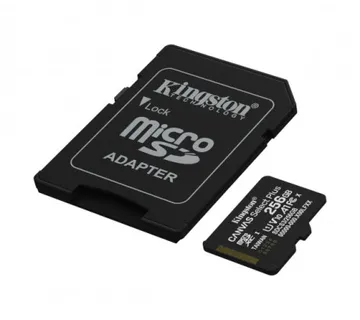 Kingston microSDXC, Select plus, Class10, 256GB - Umag