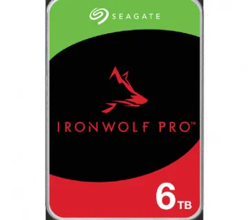 Seagate IronWolf Pro 6 TB - Umag