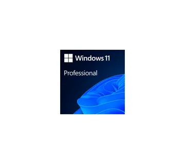 Microsoft Windows Professional 11 64-bit All Languages Online Product Key License 1 License Download - Umag